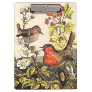 Spring Robin Birds Red Birding Clipboard
