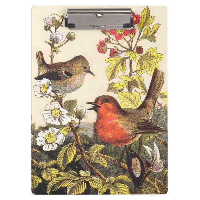 Spring Robin Birds Red Birding Clipboard (Front)