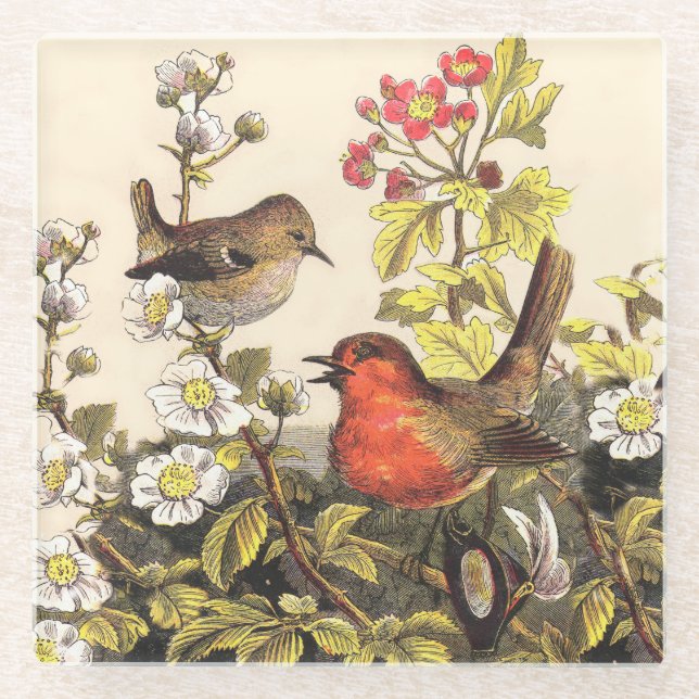 Spring Robin Birds Red Birding Glass Coaster (Front)