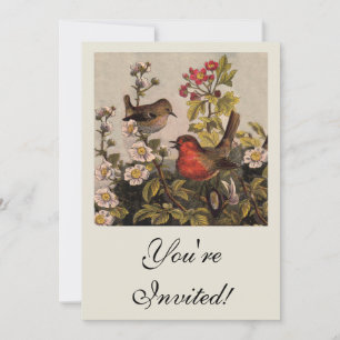 Spring Robin Birds Red Birding Invitation