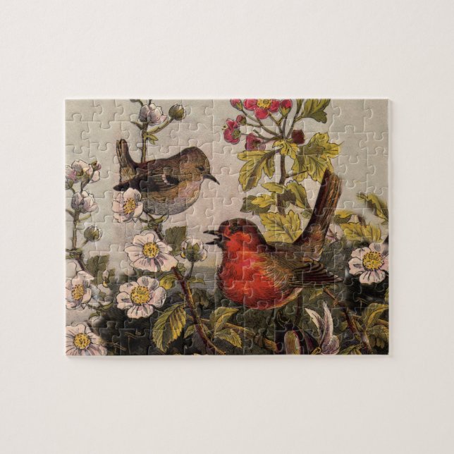 Spring Robin Birds Red Birding Jigsaw Puzzle (Horizontal)