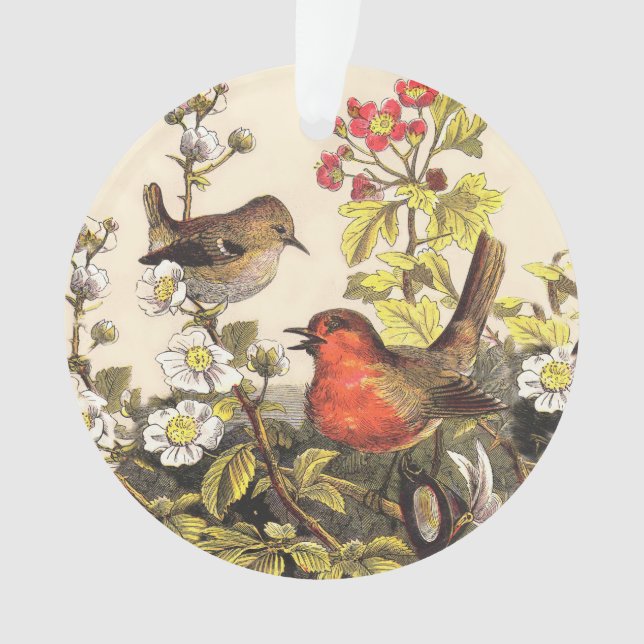Spring Robin Birds Red Birding Ornament (Front)