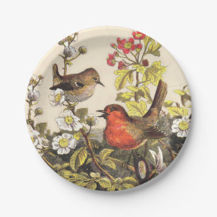 Spring Robin Birds Red Birding Paper Plate