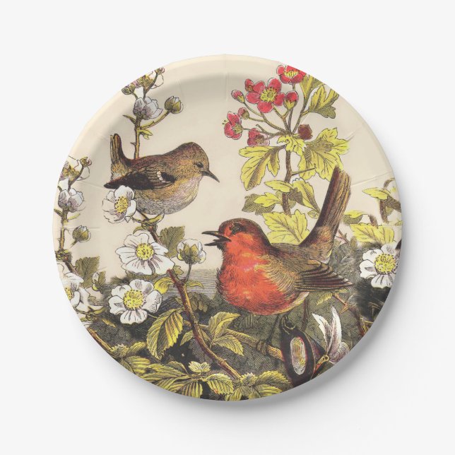 Spring Robin Birds Red Birding Paper Plate (Front)