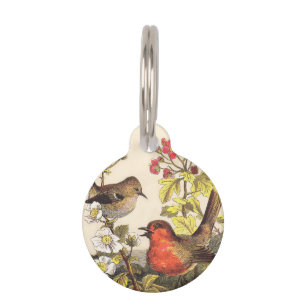 Spring Robin Birds Red Birding Pet Tag