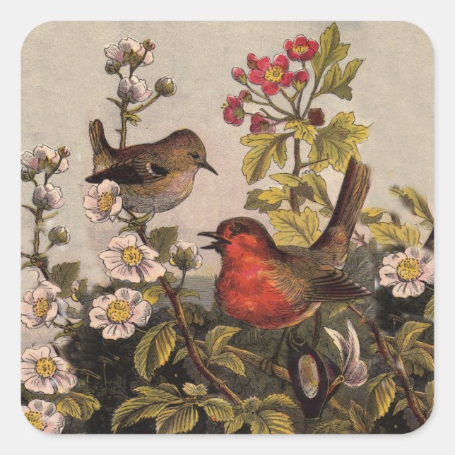 Spring Robin Birds Red Birding Square Sticker (Front)