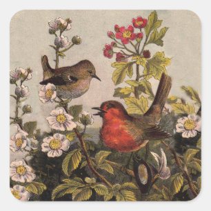 Spring Robin Birds Red Birding Square Sticker