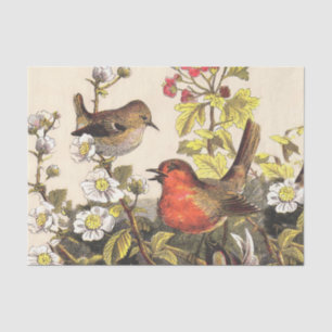 Spring Robin Birds Red Birding Tissue Paper