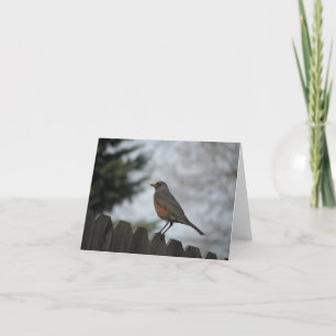 Spring Robin Note Card