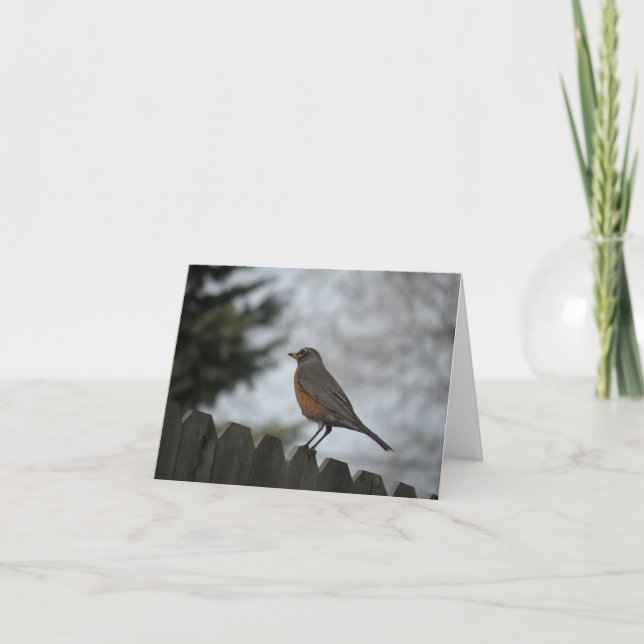 Spring Robin Note Card (Front)