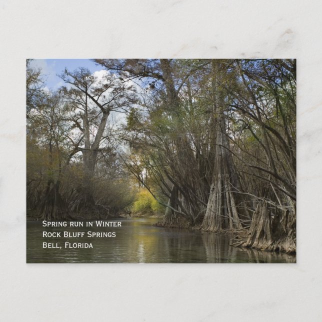 Spring Run in Winter Postcard (Front)