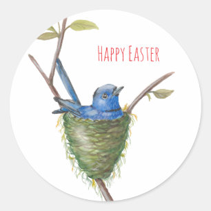 Spring’s Charm: Adorable Bird in a Nest Classic Round Sticker