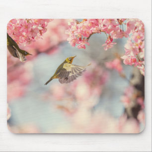 Spring Scene Mouse Pad