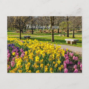 Spring Season Flower Garden Thinking Of You Postcard