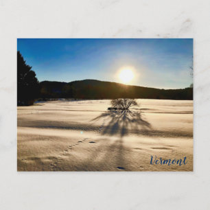 Spring Seems a Long Way Off Postcard