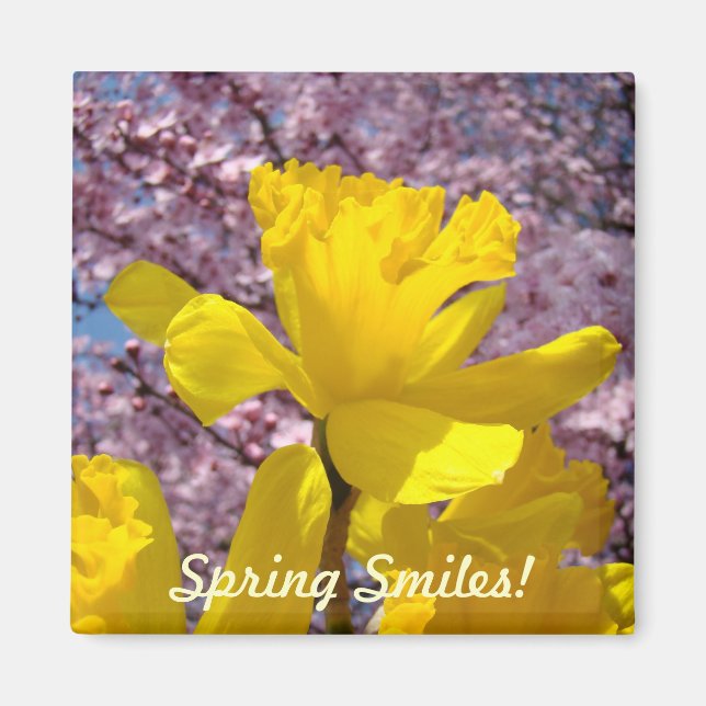Spring Smiles! Magnets Yellow Daffodil Flowers (Front)