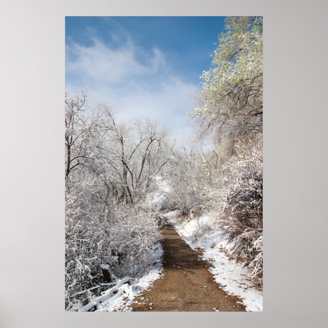 Spring Snow Nature Poster (Front)