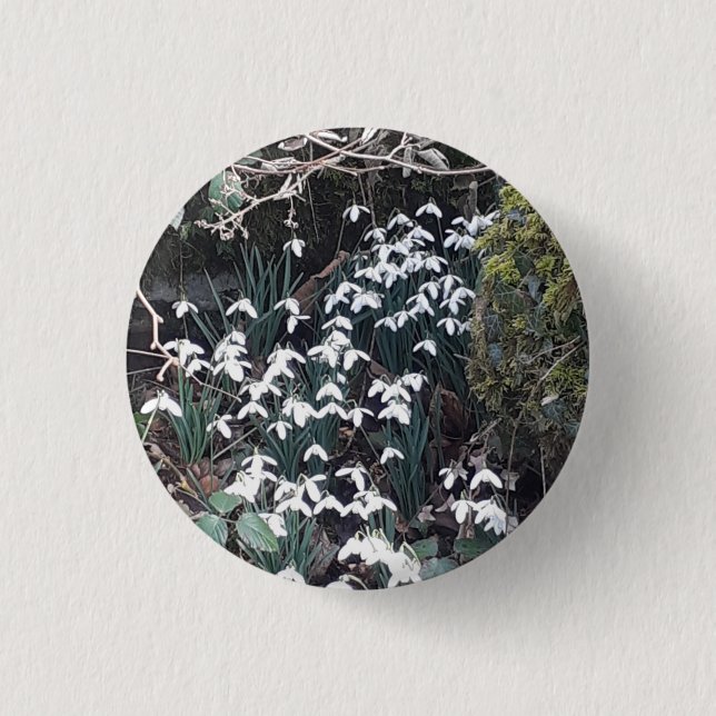Spring Snowdrops Badge 1 Inch Round Button (Front)