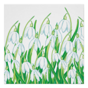 Spring Snowdrops Poster