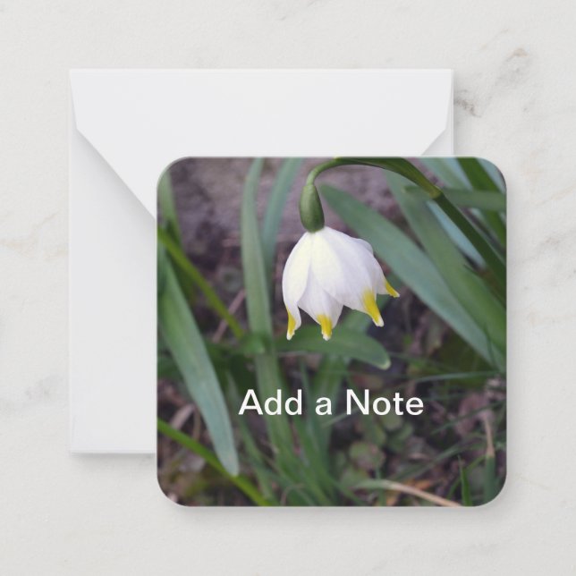Spring Snowflake Leucojum vernum Customizable Card (Front)
