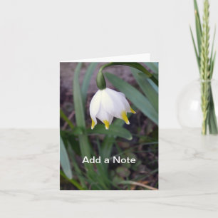 Spring Snowflake Leucojum vernum Customizable Note Card
