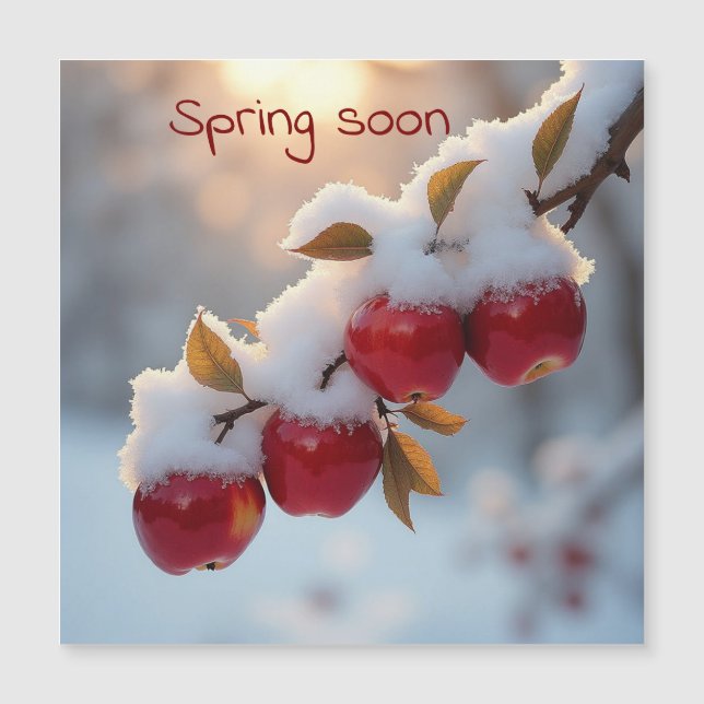 Spring soon snow on red apples (Front)
