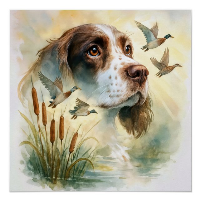 Spring Spaniel and Mallard Ducks Double Exposure Poster (Front)