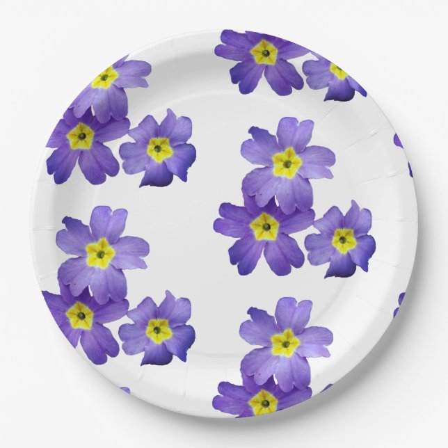 Spring  Sprung Paper Plates 9 in (Front)