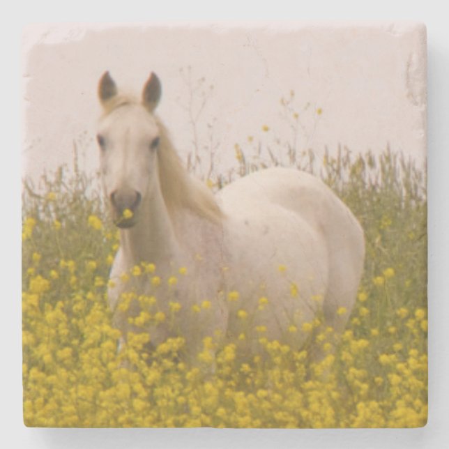 Spring Stone Coaster (Front)