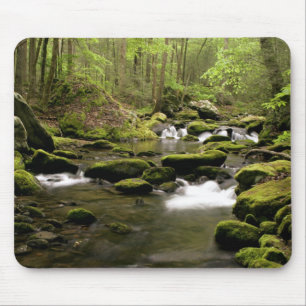 Spring Stream Mouse Pad