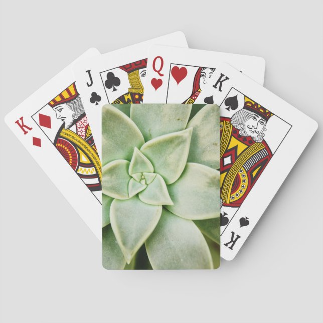 Spring Succulent Playing Cards (Back)