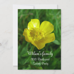 Spring, summer backyard party invitation