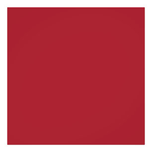 Spring Summer Colour Fiery Red Photo Print