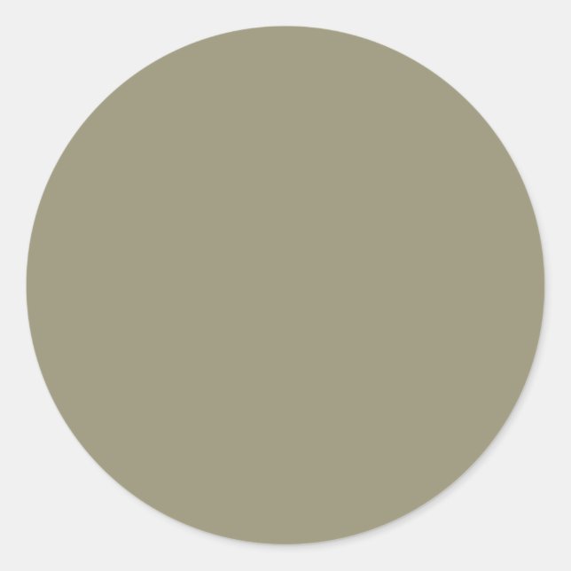 Spring Summer Colour Leek Green Classic Round Sticker (Front)