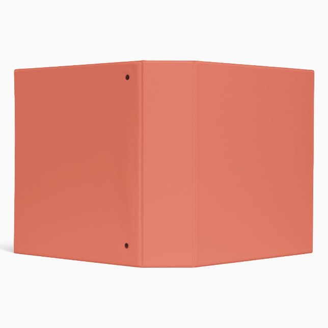 Spring Summer Colour Peach Pink Binder (Background)