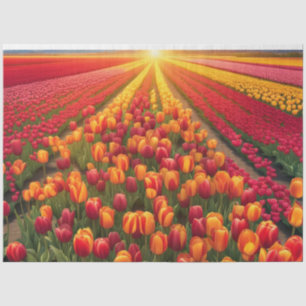 Spring Summer Field of Tulips Decoupage Paper