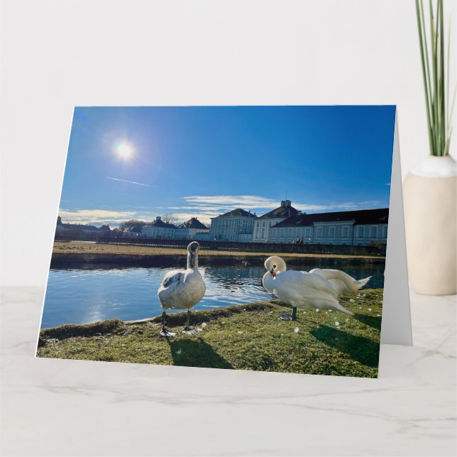 Spring Sun  Card (Front)