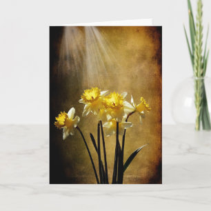 Spring Sun - Greeting Card