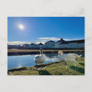 Spring Sun Postcard