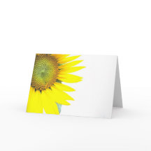 Spring sunflowers