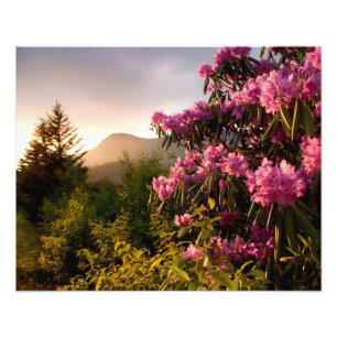 Spring Sunset Mount Mitchell in North Carolina. Photo Print