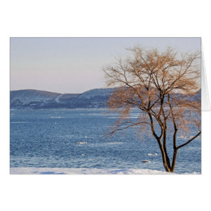 Spring Thaw, Steamboat Dock