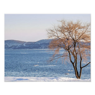 Spring Thaw, Steamboat Dock Photo Print
