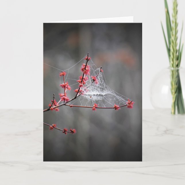 Spring Threads, card (Front)