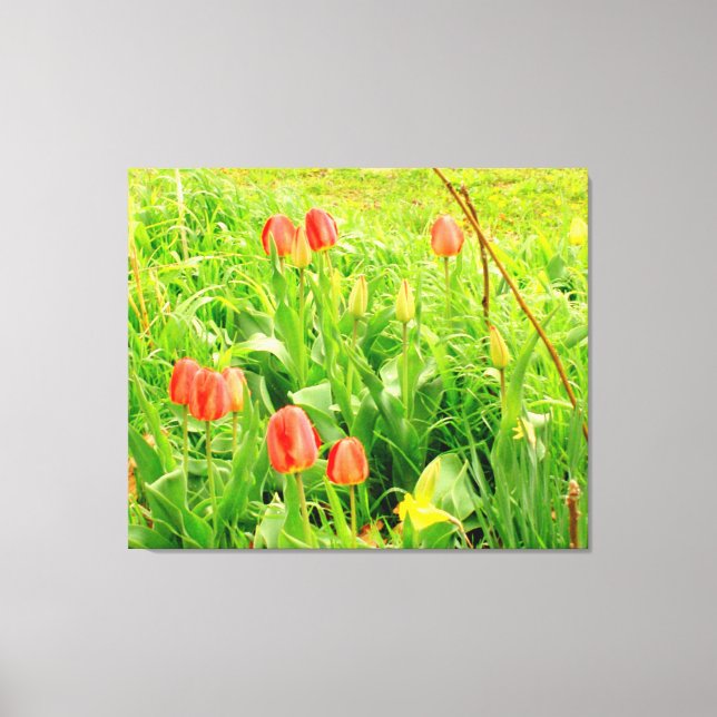 Spring Time 3 Canvas Print (Front)