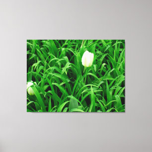 Spring Time 4 Canvas Print