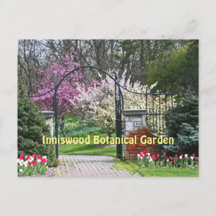 "SPRING TIME AT INNISWOOD" (WESTERVILLE, OHIO) POSTCARD