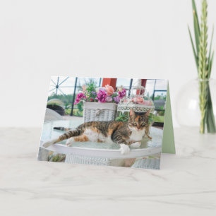 spring time cat greeting card