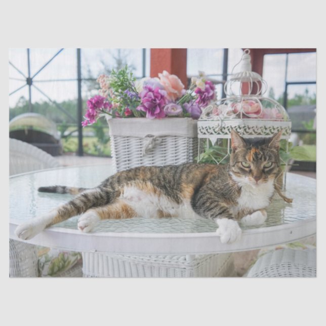 spring time cat tissue paper (Front)