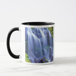 Spring-time fresh water flowing over moss mug